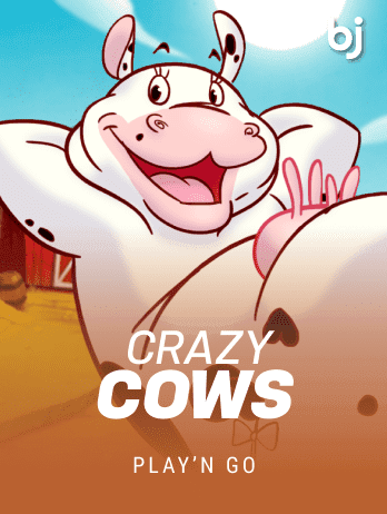 Crazy Cows icon